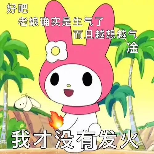 好吧老娘确实是生气了生而且越想越气我才没有发火麦乐蒂表情包
