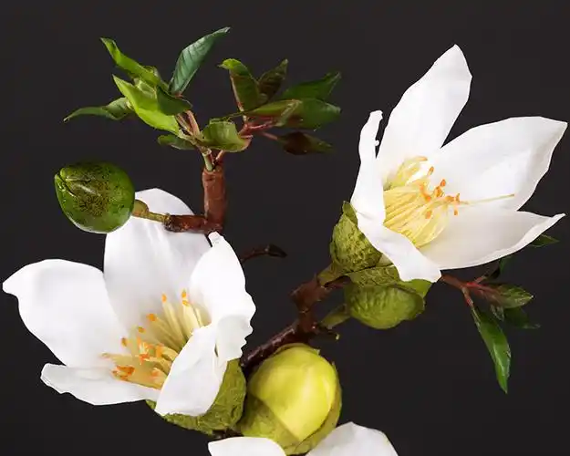 手感仿真木棉花单支英雄花客厅卧室台面花艺摆件玉兰花摄影道具