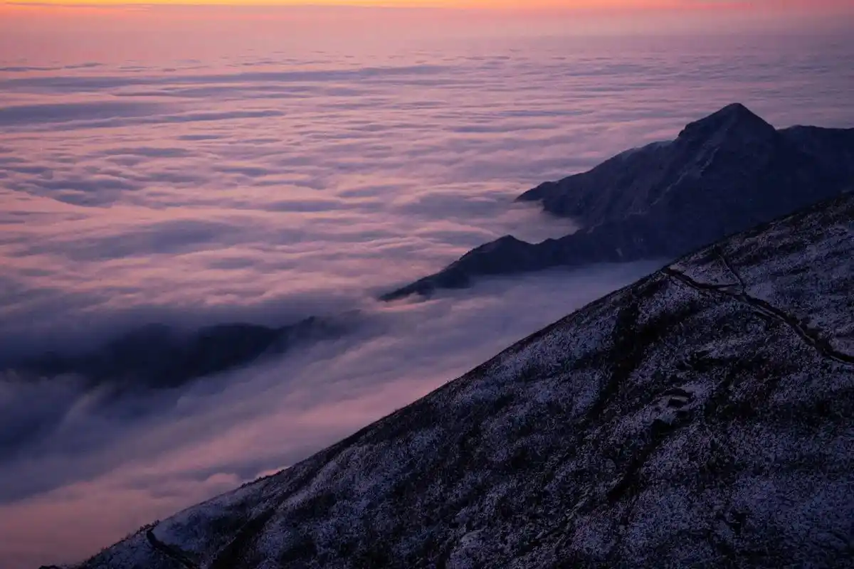 随笔——抖音树洞