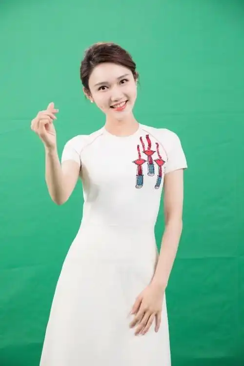 最美央视女主持-龙洋