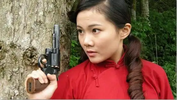 诛寇行动(电视剧)