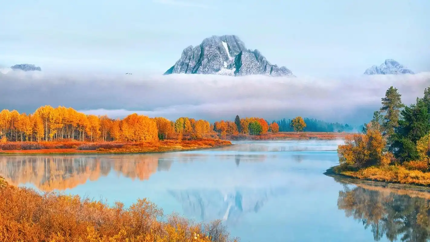 电脑壁纸 风景 风景图片 枫叶是秋天的诗行