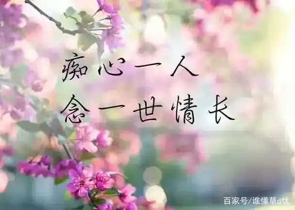 能有着彼此的懂得,不必言说就能产生一种共鸣,浓浓的思念,深深的牵挂