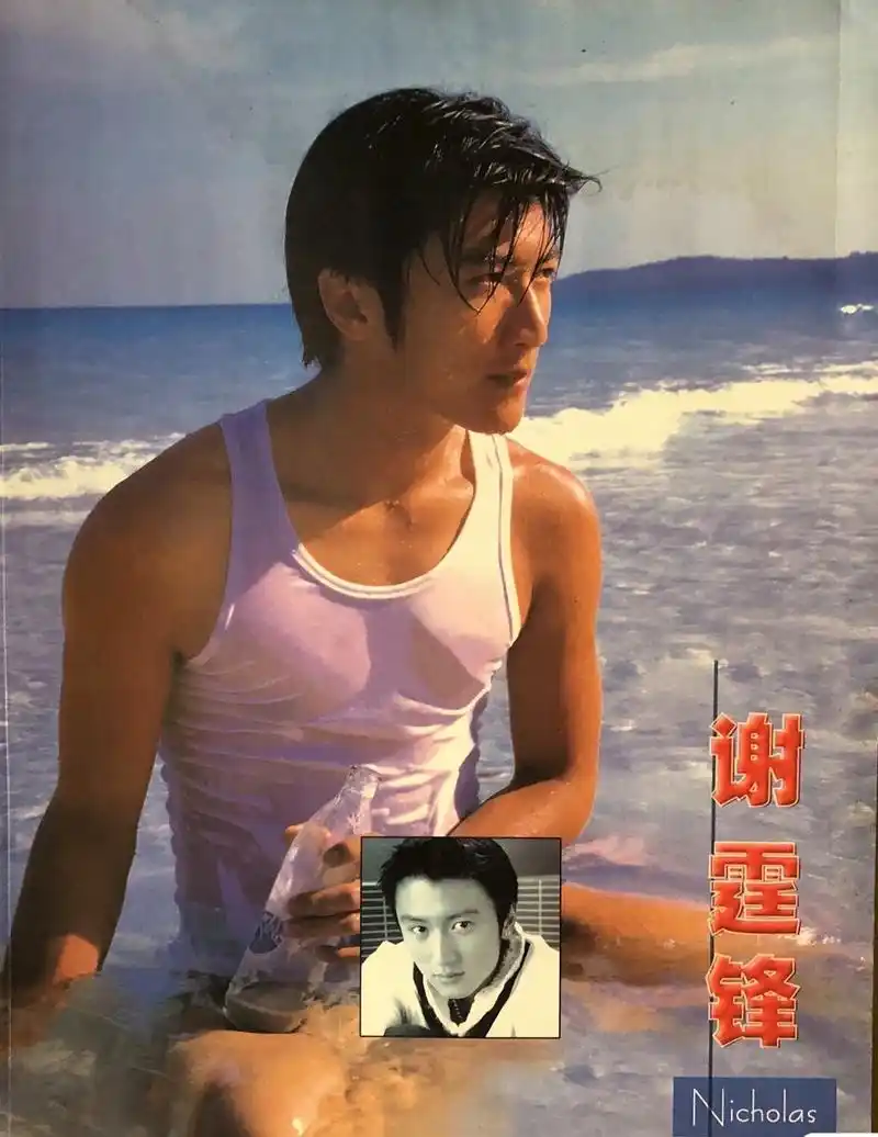 青春岁月偶像~谢霆锋年轻图片集
