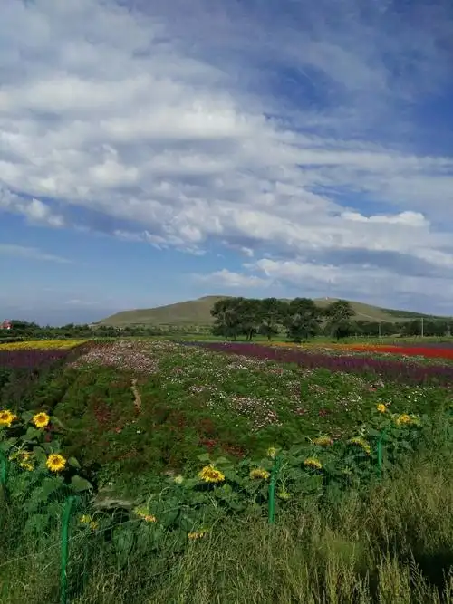 五花草甸wuhua meadow