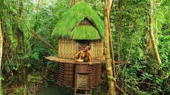 原始生活亚马逊原住民丛林树屋加建第二层