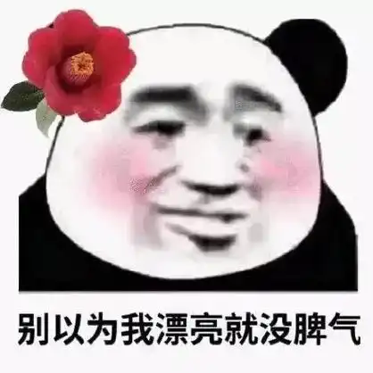 别以为我漂亮就没脾气熊猫头表情包