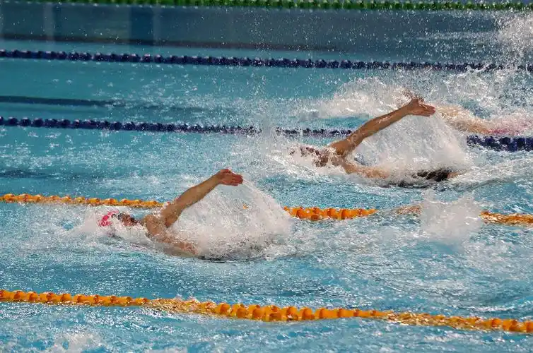 第二届全国青年运动会游泳,举重比赛(8月11日精彩瞬间)