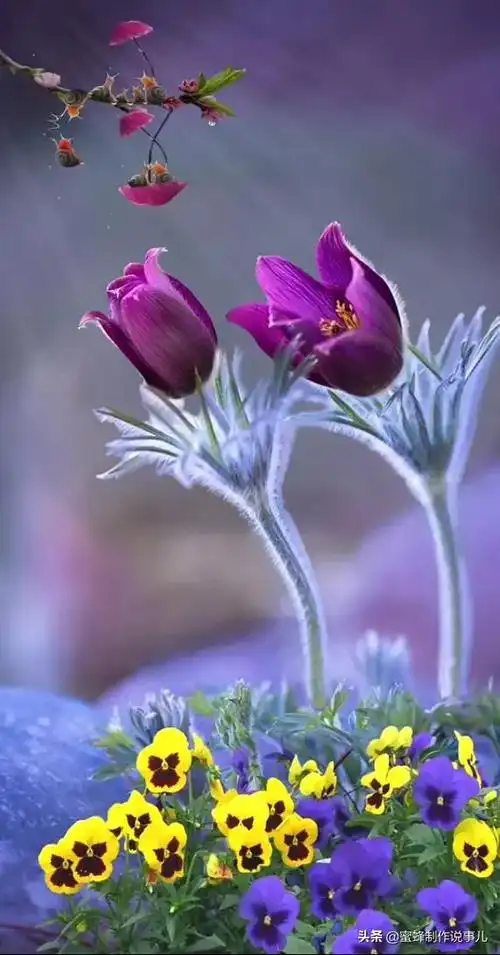 一路鲜花相伴,一路芬芳相随