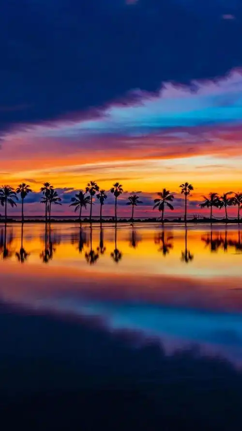 高清无水印海边夕阳椰树壁纸(一)