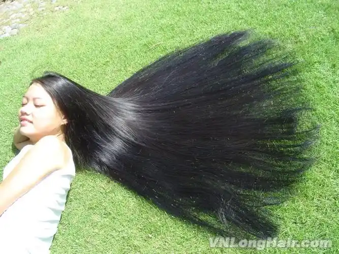 收藏的越南长发女图集与大家分享(47)