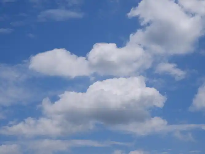 晴空万里,万物明朗. - 雪的小花花