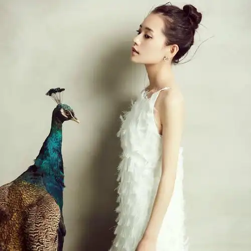 美女,柴碧云,演员,明星,柴碧云侧脸照壁纸