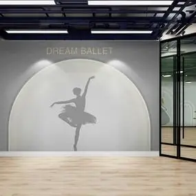 舞蹈室墙纸高级灰拍照背景墙布芭蕾舞艺术培训工作室教室装修壁纸