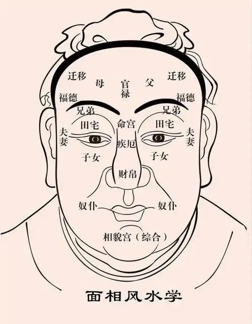 相术的观相与观气_国学易经八字面相风水