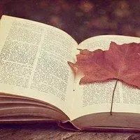 淡雅书香头像图片好看唯美的书籍唯美意境高清图片头像