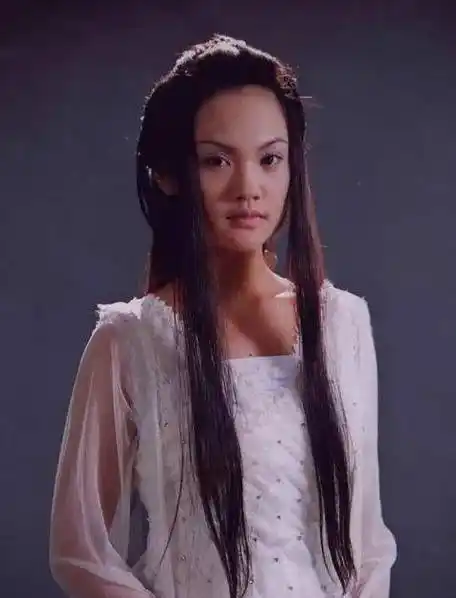 古装造型真的很挑人,有的人美如天仙,而有些人却一言难尽_杨丞琳_吐槽