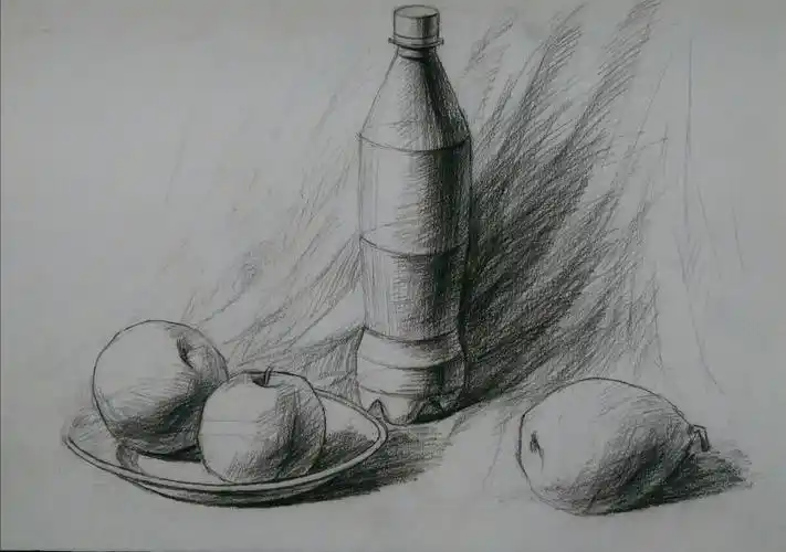素描静物入门