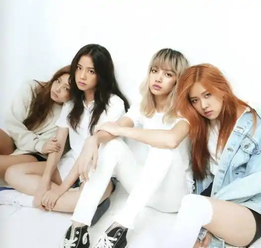 blackpink成员不仅是当今世界最热门的女偶像,而且还
