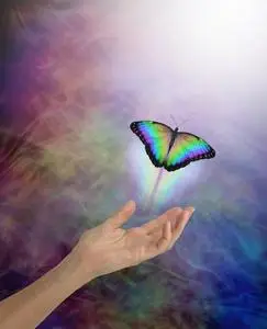 灵魂助产士图片