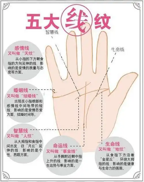 右手 谢谢大家啦 这样子的手相可以啊,事业线比较好,生命线也强,婚姻