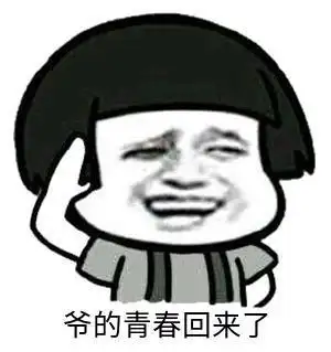 爷的青春回来了表情包安装截图