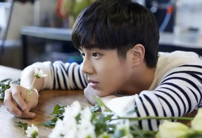 毕竟在上戏当过监考老师了明星儿时的梦想,胡歌想当老师,刘昊然想当