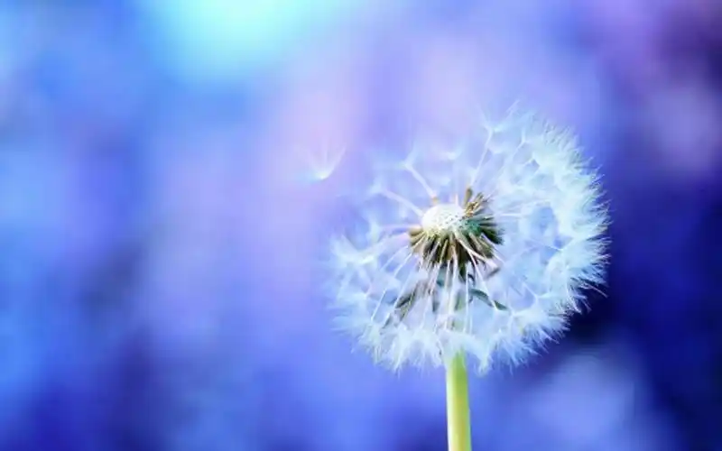 电脑桌面换壁纸的图片教程 - 家乡百科知识