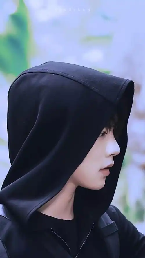 沙海终极笔记张起灵肖宇梁1