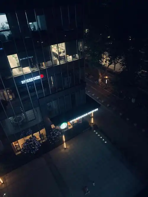 然而看着窗外的夜景,我到底要不要吃?夜晚人性的考验……#城市夜景