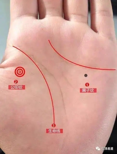 手握财富纹,必成有钱人,问君有没有,一看定乾坤