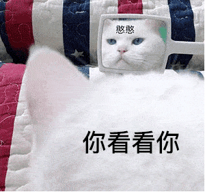 警察叔叔放我出来我再也不敢装逼了金馆长表情包