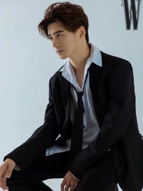 明星感十足的韩国画报风写真男士写真