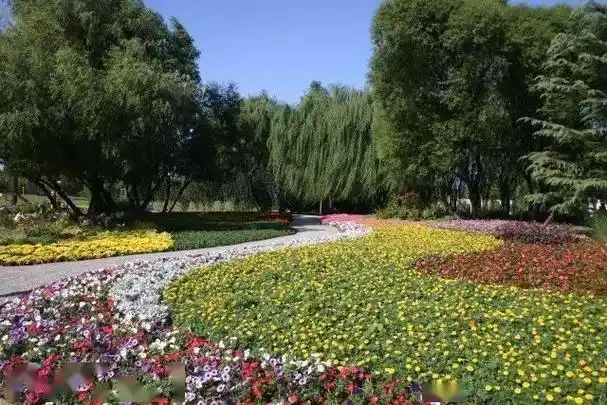 天津东堤公园位于滨海新区东堤路,是一个集休闲,娱乐,观光,游玩于一体