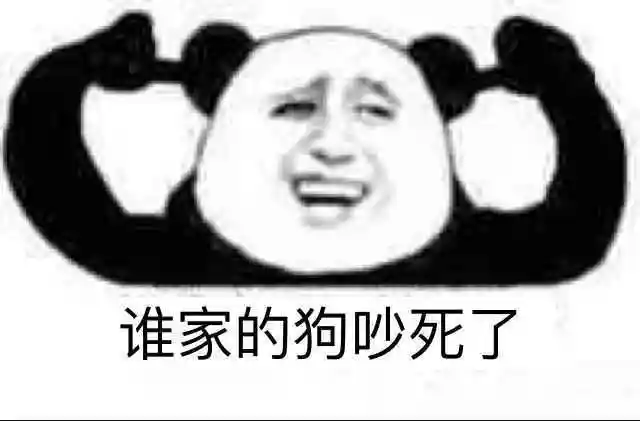 谁家的狗吵死了_谁家表情