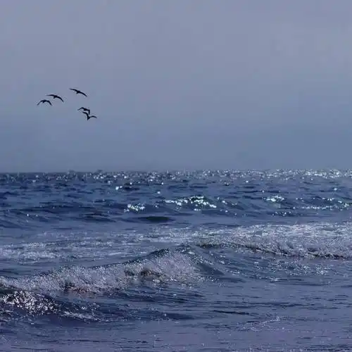 你会喜欢的大海背景图