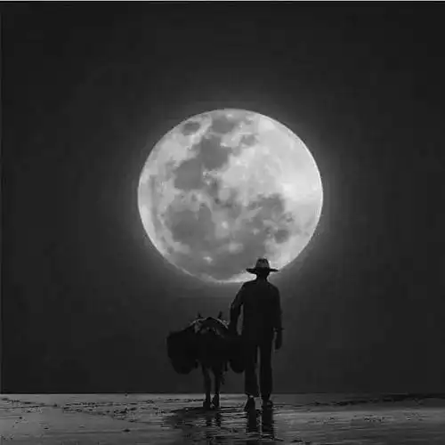 男人黑白头像男人味