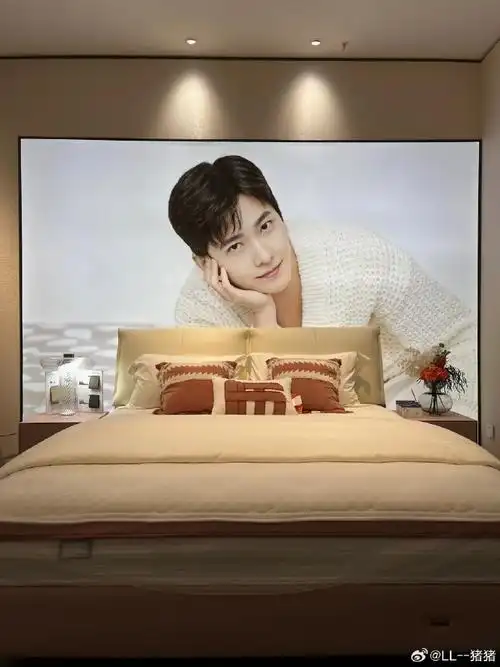 杨洋喜临门品牌代言人