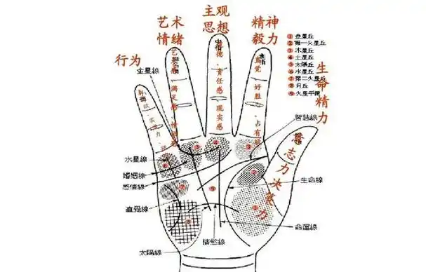 千万别相信免费看手相!可能都是用的同款话术,骗你钱!