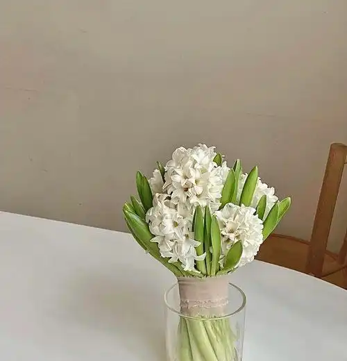 风信子手捧花清新高雅