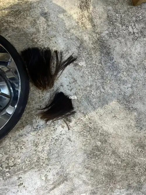 0有点期待短发效果,希望不要翻车,求求tony姐姐了#长发  #短发  #剪发