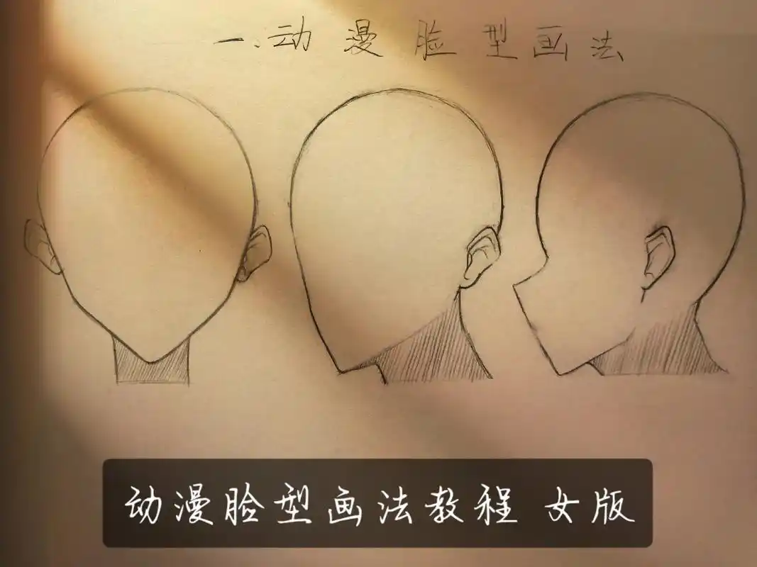 手绘动漫女版脸型 教程.每个年龄阶段的脸型都不一样,大家在绘 - 抖音