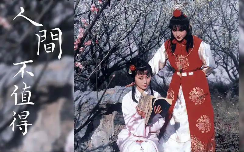 「红楼梦|人间不值得|宝黛混剪」 草木也知愁 韶华竟白头_哔哩哔哩