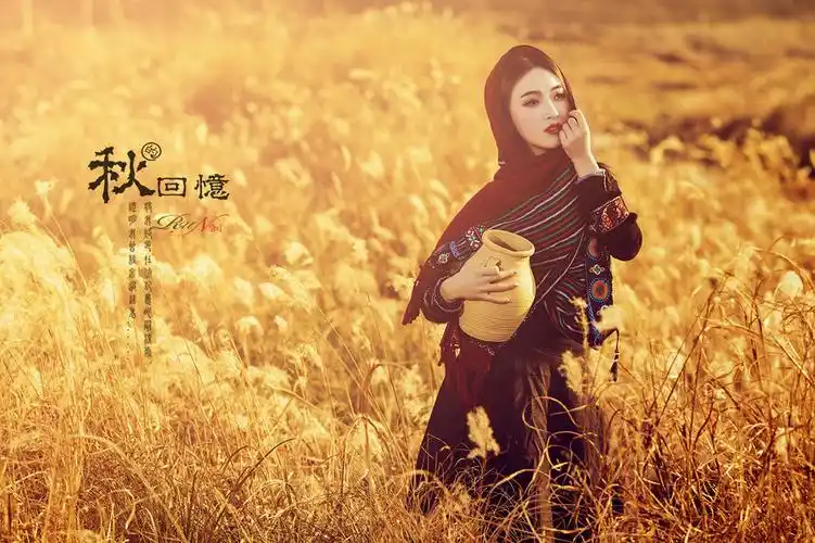 西海情歌 流行歌曲14首