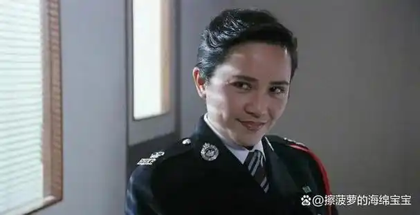 中国香港警察架构和警衔详解