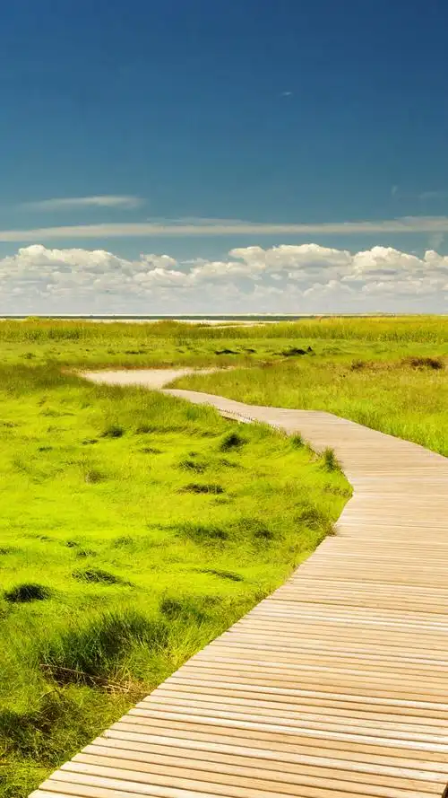 田园草地道路h5背景素材