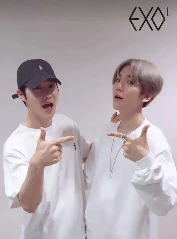 fyp #exo #金俊勉 #边伯贤 #张艺兴 #lay  - 抖音