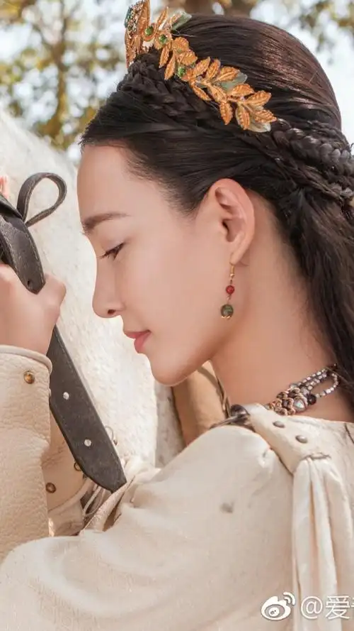 天泪传奇之凤凰无双聂无双王丽坤饰