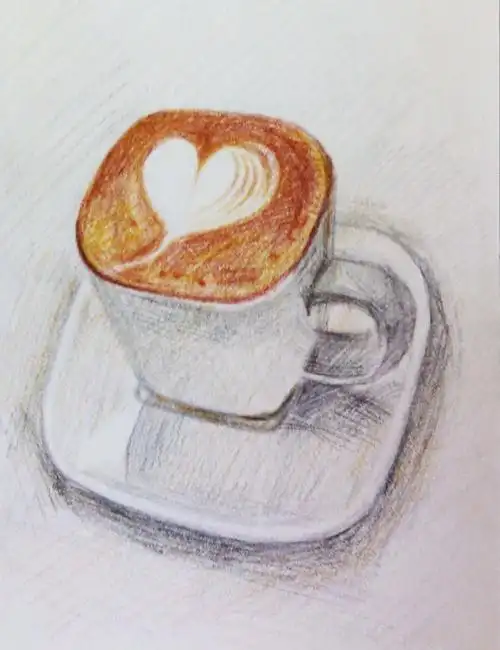 彩铅午后丨零基础学画画