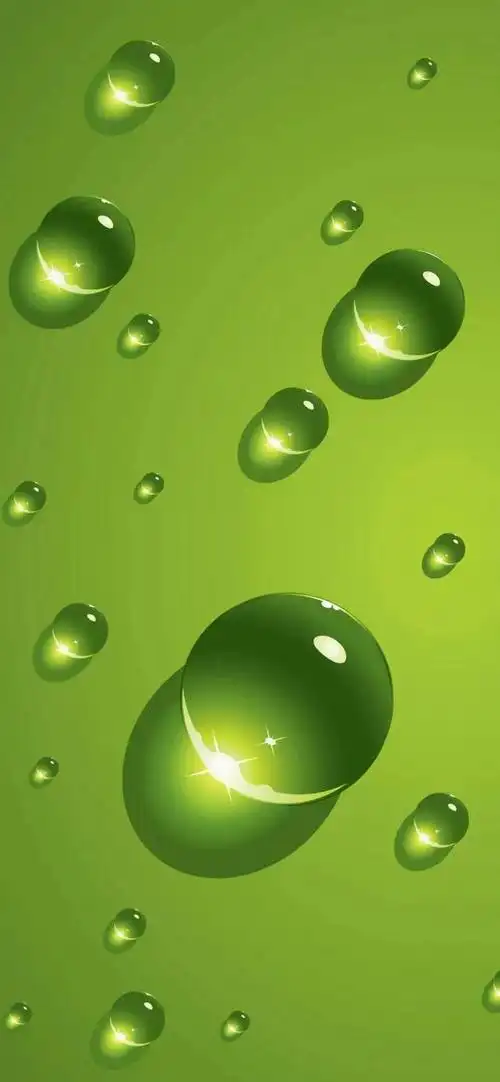 简约壁纸|叶子,水滴